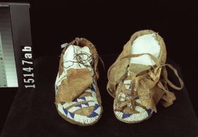 Image representing Moccasin.