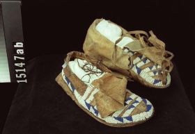 Image representing Moccasin.