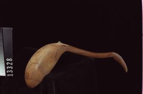 Image representing Ladle.