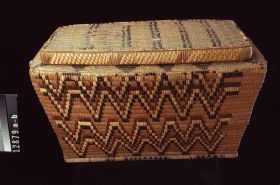Image representing Trunk.
