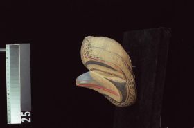Image representing Mask.