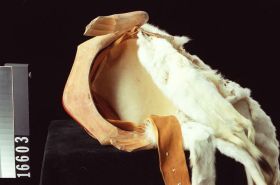 Image representing Headdress.