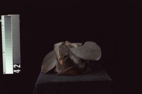 Image representing Headdress.