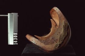 Image représentant Mask