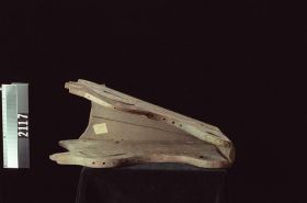 Image representing Mask.