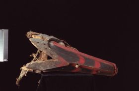 Image representing Mask.