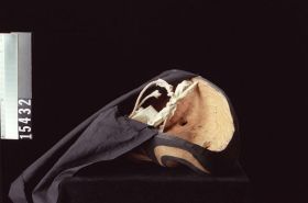 Image representing Mask.