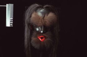 Image representing Mask.