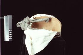 Image representing Mask.