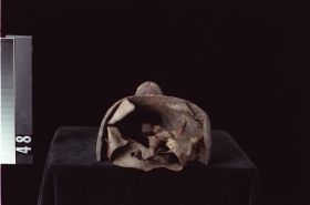 Image representing Mask.