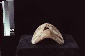 Image representing Mask.