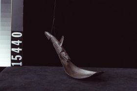 Image representing Spoon.