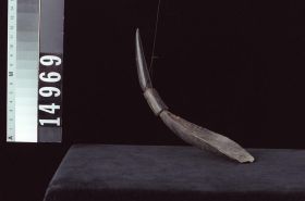Image representing Spoon.