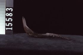Image representing Spoon.