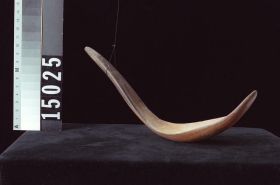 Image representing Spoon.
