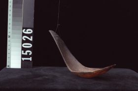 Image representing Spoon.