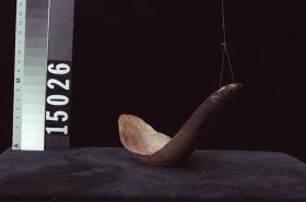 Image representing Spoon.