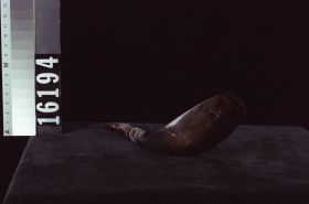 Image representing Spoon.