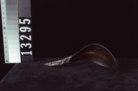 Image representing Spoon.