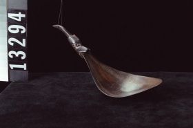Image representing Spoon.