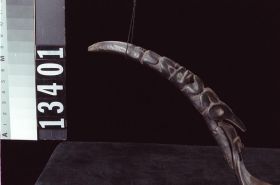 Image representing Spoon.