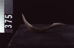 Image representing Spoon.