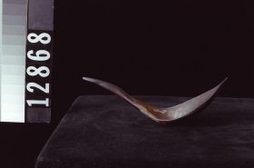 Image representing Spoon.