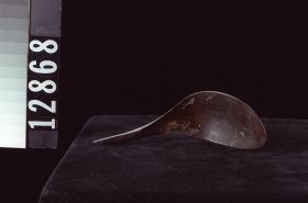 Image representing Spoon.