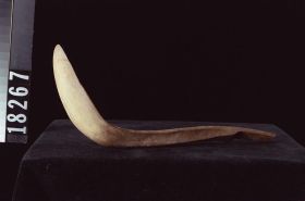 Image representing Spoon.