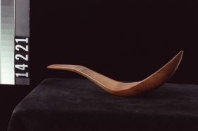Image representing Spoon.