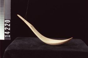 Image representing Spoon.