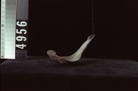 Image representing Spoon.