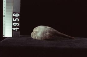 Image representing Spoon.