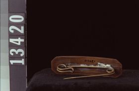 Image representing Brooch.