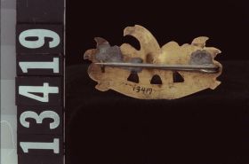 Image representing Brooch.