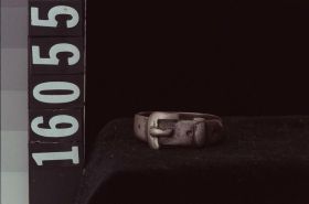 Image representing Ring.