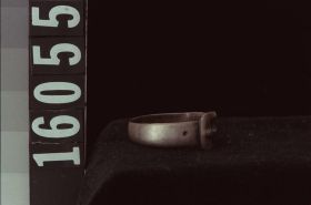 Image representing Ring.