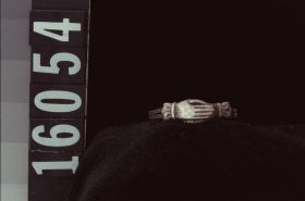 Image representing Ring.