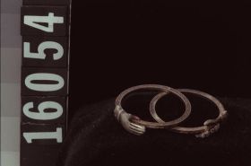 Image representing Ring.
