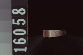 Image representing Ring.