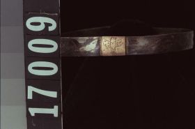 Image representing Bracelet.