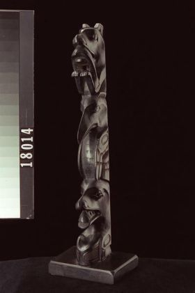 Image représentant Pole, argillite