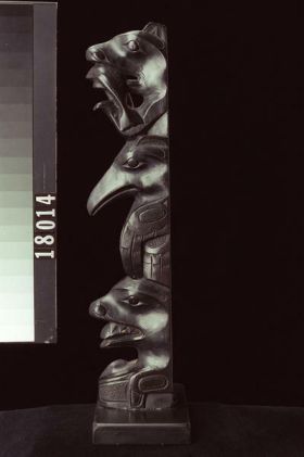 Image représentant Pole, argillite