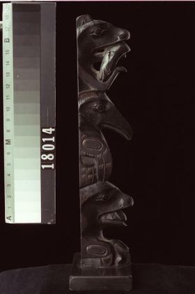 Image représentant Pole, argillite