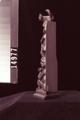 Image représentant Pole, argillite