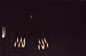 Image representing Regalia.