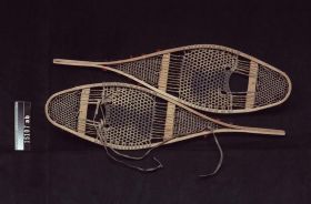 Image representing Snowshoe.