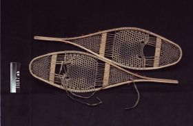 Image representing Snowshoe.