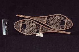 Image representing Snowshoe.