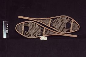 Image representing Snowshoe.